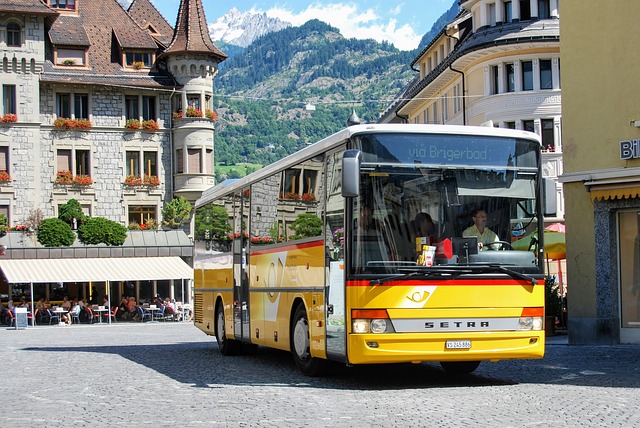 Jakie usługi oferuje dar-trans? kompleksowe rozwiązania transportowe