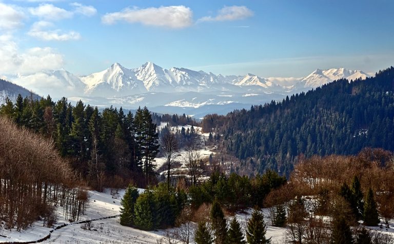 Co wyróżnia domki w zakopanem na tle innych górskich lokalizacji?