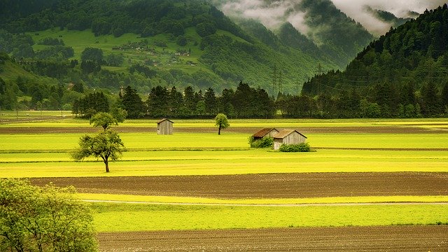Flufenacet wycofany z rynku – co to oznacza dla rolników?